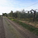 DSC02319