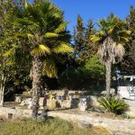 DSC02352